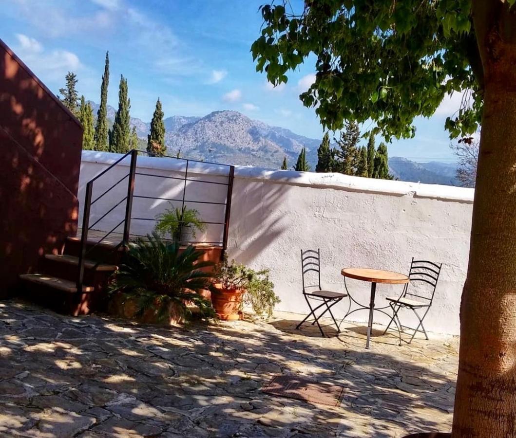 Loftotel Canet اسبورليس المظهر الخارجي الصورة